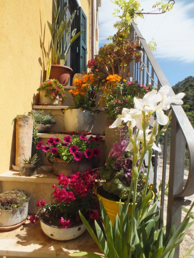 Apartmán La Casa Di Sveva Ragusa Exteriér fotografie